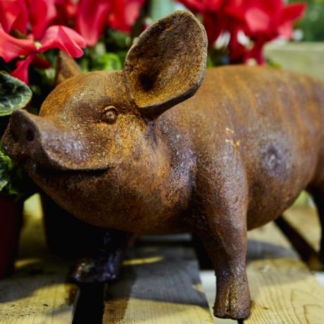 Standing Piglet Statue For Sale – Lime Cross Nursery